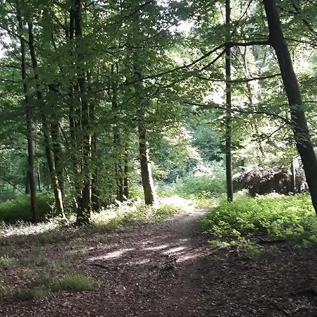 Relais Des Tourterelles La Neuville-aux-Joutes