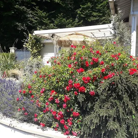 Bed & Breakfast Relais Des Tourterelles