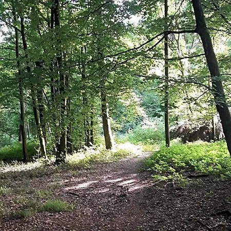 Relais Des Tourterelles La Neuville-aux-Joutes