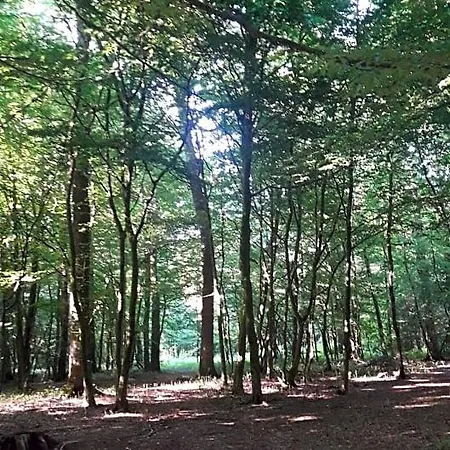 Frühstückspension Relais Des Tourterelles 3*